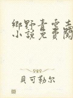 乡野青云志周同小说免费阅读