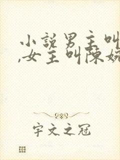 小说男主叫秦昊,女主叫陈婉