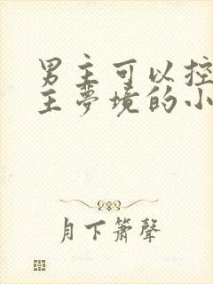 男主可以控制女主梦境的小说