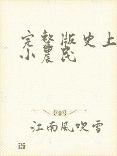 完整版史上最强小农民封面