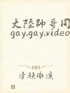 大陆帅哥同性恋gay,gay,videos