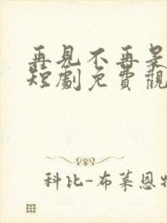 再见不再是替身短剧免费观看