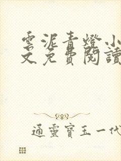 云泥青灯小说全文免费阅读无弹窗