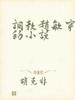 调教赵敏穿乳环的小说