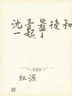 沈青最后和谁在一起了封面