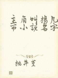 主角叫杨凡的都市小说名字封面