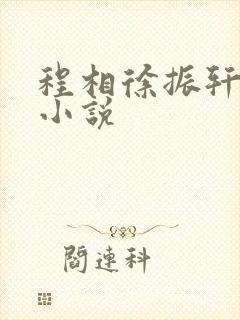 程相徐振轩同人小说