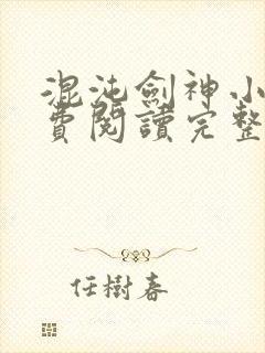 混沌剑神小说免费阅读完整版在线封面