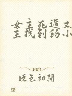 女主死遁又被男主找到的小说封面