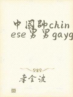 中国帅chinese男男gaygay网站
