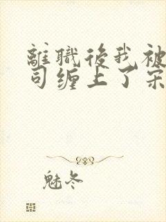 离职后我被前上司缠上了宋襄封面