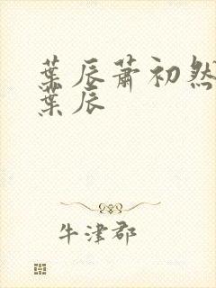 叶辰萧初然小说叶辰