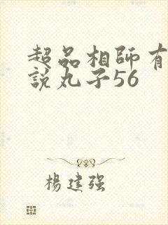 超品相师有声小说丸子56