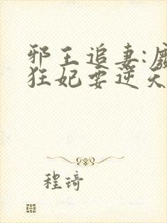 邪王追妻:废材狂妃要逆天