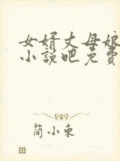 女婿丈母娘言情小说吧免费阅读全文