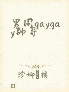 男同gaygay帅哥