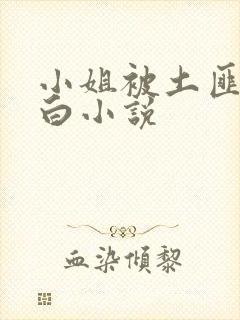 小姐被土匪毁清白小说
