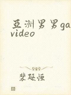 亚洲男男gayvideo