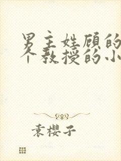 男主姓顾的是一个教授的小说封面