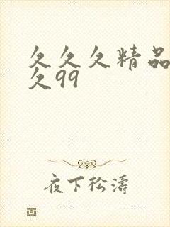 久久久精品久久久99封面