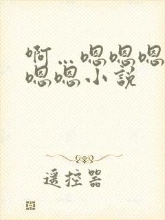 啊…嗯嗯嗯嗯嗯嗯嗯小说