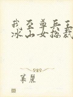 我至尊兵王闪婚冰山女总裁