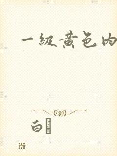 一级黄色内射片