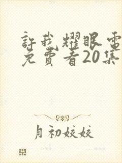 许我耀眼电视剧免费看20集