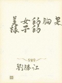 美女的胸是什么样子的