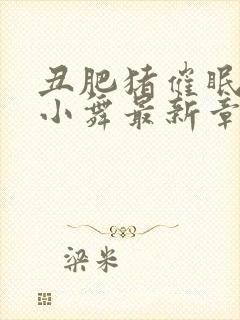 丑肥猪催眠斗罗小舞最新章节列表