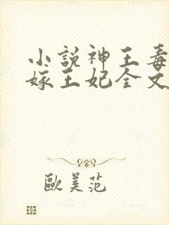小说神王毒宠二嫁王妃全文
