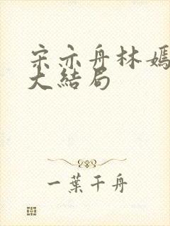 宋亦舟林嫣小说大结局