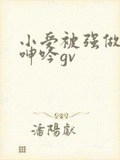 小受被强做开腿呻吟gv