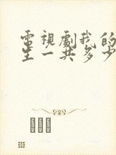 电视剧我的后半生一共多少集