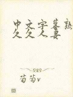 中文字幕熟妇久久久人妻封面