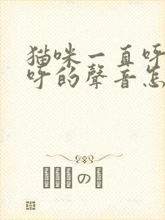 猫咪一直呼呼呼呼的声音怎么回事