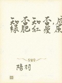 知否知否,应是绿肥红瘦原著小说