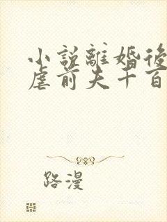 小说离婚后,我虐前夫千百遍在线阅读