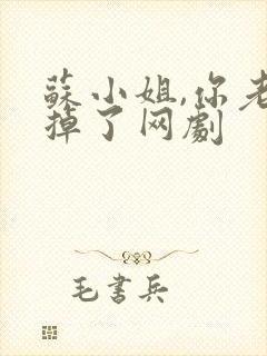 苏小姐,你老公掉了网剧