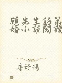 顾先生的第一宠婚小说阅读