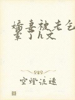 娇妻被老乞丐肉晕了h文