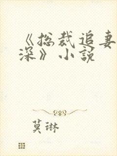 《总裁追妻套路深》小说