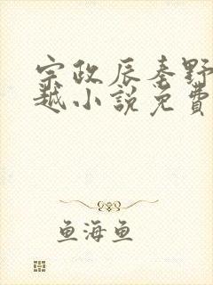 宗政辰秦野的穿越小说免费阅读