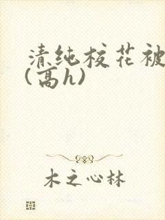 清纯校花被调教(高h)