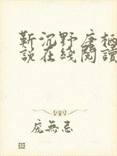 靳沉野唐栖雾小说在线阅读