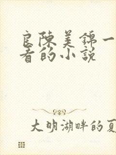 良陈美锦一样好看的小说