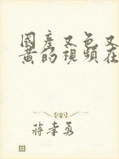 国产又色又爽又黄的视频在线