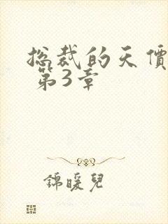 总裁的天价前妻 第3章