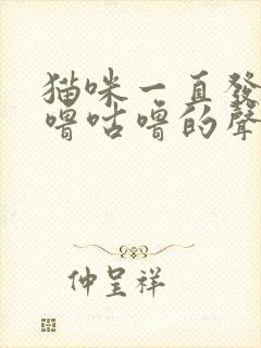 猫咪一直发出咕噜咕噜的声音