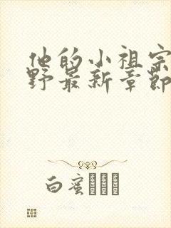 他的小祖宗甜又野最新章节txt